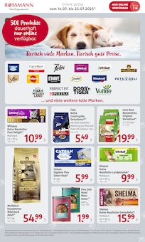 Catsan Angebot im aktuellen Rossmann Prospekt auf Seite 2