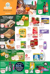 GLOBUS Supermarkt Prospekt der aktuellen Woche mit 26 Seiten, gültig von 26.05.2026 bis 30.05.2026, in Bernhardswald und Umgebung Aktueller GLOBUS Supermarkt Prospekt in Bernhardswald und Umgebung, "Aktuelle Angebote" mit 26 Seiten, 26.05.2026 - 30.05.2026