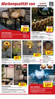 Blumen im toom Baumarkt Prospekt "Respekt, wer's selber macht." mit 24 Seiten (Mönchengladbach)