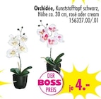 Orchidée Angebote bei SB Möbel Boss Hildesheim für 4,00 €