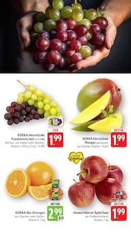 Aktueller EDEKA Prospekt "Aktuelle Angebote" Aktueller EDEKA Prospekt