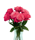 Großköpfige Hochland Rosen von  im aktuellen Netto Marken-Discount Prospekt für 4,44 €