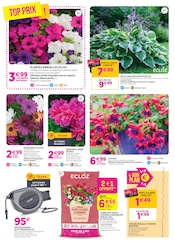 Tuyau D'arrosage en promo dans le catalogue Delbard à la page 2