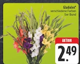 Gladiolen im Angebot bei EDEKA in Hof Gladiolen Angebote bei EDEKA Hof für 2,49 €