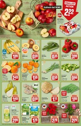 REWE Pflanzen im Prospekt REWE Pflanzen im Prospekt