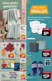 Tischdeko Angebot im aktuellen REWE Prospekt auf Seite 27