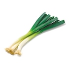 Angebot im Netto mit dem Scottie Rostock Prospekt Netto mit dem Scottie Rostock Prospekt mit  im Angebot fĂŒr 1,49 âŹ