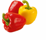 Bio Paprika Mix Angebote von BioBio bei Netto Marken-Discount Görlitz