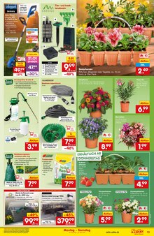 Pflanzen im Netto Marken-Discount Prospekt "Aktuelle Angebote" mit 51 Seiten (Bochum)