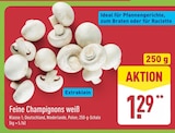 Feine Champignons weiß im ALDI Nord Prospekt Feine Champignons weiß von im aktuellen ALDI Nord Prospekt für 1,29 €