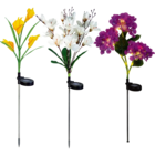 LED Solar Blumen Rose von Living & Garden im aktuellen Netto Marken-Discount Prospekt