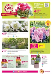 Promos Jardin dans le catalogue "90 ans à colorer votre automne !" de Delbard à la page 3 Promos Jardin dans le catalogue "90 ans à colorer votre automne !" de Delbard à la page 3