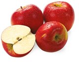Rote Tafeläpfel im Angebot bei REWE in Germering Rote Tafeläpfel Angebote bei REWE Germering für 1,69 €