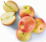 Tafeläpfel Braeburn bei Markant Nordwest im Lippstadt Prospekt für 1,11 €