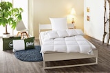 Kopfkissen ca. 40 x 80 cm im Angebot bei Lidl in Bonn Kopfkissen ca. 40 x 80 cm Angebote von Livarno Home bei Lidl Bonn für 7,99 €