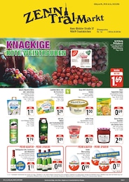 nah und gut Prospekt mit 4 Seiten (Neuhof (Zenn))