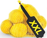 Zitronen für 2,49 € bei Netto Marken-Discount im Angebot Zitronen im aktuellen Netto Marken-Discount Prospekt