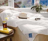Sommerbettdecke im Angebot bei Möbel Martin in Bad Kreuznach Sommerbettdecke Angebote von billerbeck bei Möbel Martin Bad Kreuznach für 85,00 €