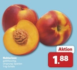 Aktuelles Nektarinen Angebot bei combi in Hannover ab 1,88 €
