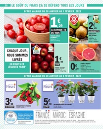 Offre Anthurium dans le catalogue E.Leclerc du moment à la page 20