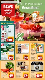 Aktueller REWE Supermarkt Prospekt in Freudenstadt und Umgebung, "Dein Markt" mit 27 Seiten, 15.06.2026 - 20.06.2026