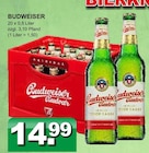 BUDWEISER im Angebot bei Getränke Paradies in Bochum BUDWEISER Angebote bei Getränke Paradies Bochum für 14,99 €
