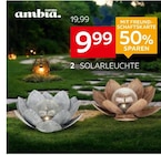 Solarleuchte „Honolulu“ von Ambia Garden im aktuellen XXXLutz Möbelhäuser Prospekt