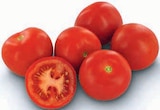 Aktuelles Partytomaten Angebot bei Markant Nordwest in Osnabrück ab 1,59 €