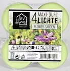 Aktuelle Kerzen Angebote bei Thomas Philipps in Lübeck Aktuelles Maxi-Duftteelichte Angebot bei Thomas Philipps in Lübeck ab 1,00 €