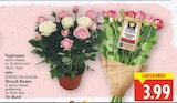 Topfrosen von  im aktuellen E center Prospekt für 3,99 €