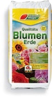 Blumenerde von Garten Magie für 0,99 € bei Netto Marken-Discount im Angebot Blumenerde von Garten Magie im aktuellen Netto Marken-Discount Prospekt