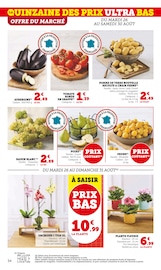 Orchidée Angebote im Prospekt "Super U" von Super U auf Seite 34