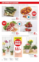 Offre Orchidée dans le catalogue Super U du moment à la page 44