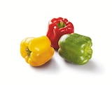 Paprika Mix im Angebot bei Lidl in Berlin Paprika Mix Angebote bei Lidl Berlin für 2,69 €