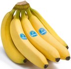 REWE Renningen - Bananen Angebot im Prospekt Bananen bei REWE im Renningen Prospekt für 1,99 €