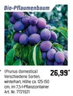 Bio-Pflaumenbaum Angebote bei OBI Oberhausen für 26,99 €