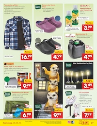 Dekofiguren Angebot & Preis im aktuellen Netto Marken-Discount Prospekt Dekofiguren Angebot im aktuellen Netto Marken-Discount Prospekt auf Seite 37