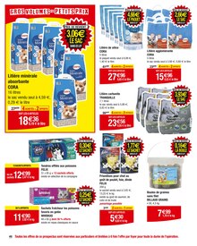 Promo Litière agglomérante chat dans le catalogue Carrefour du moment à la page 48