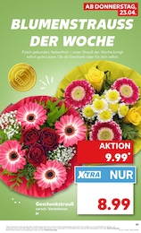 Blumen im Kaufland Prospekt Aktuelle Angebote auf S. 49