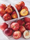 Nectarine jaune ou blanche - Super U Nectarine jaune ou blanche à 4,99 € dans le catalogue Super U
