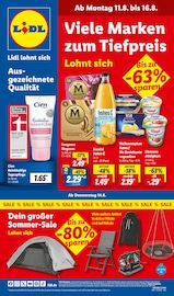 Aktueller Lidl Discounter Prospekt in Markgröningen und Umgebung, "LIDL LOHNT SICH" mit 71 Seiten, 11.08.2025 - 16.08.2025