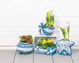 Aktuelles Pflanzgefäß maritim Angebot bei Netto mit dem Scottie in Rostock ab 17,99 €