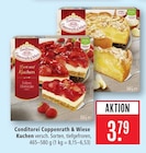 Kuchen Angebote von Conditorei Coppenrath & Wiese bei Marktkauf Nürtingen für 3,79 €