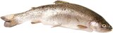 Aktuelle Fisch Angebote bei REWE in Hamburg Aktuelles Forelle Angebot bei REWE in Hamburg ab 1,29 €