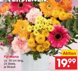 Für Mama  im aktuellen Netto Marken-Discount Prospekt für 19,99 €