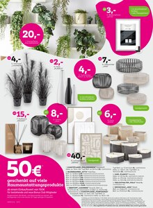 Pflanzen im aktuellen mömax Prospekt (Hannover) Pflanzen im mömax Prospekt "minus 25% auf viele Möbel" mit 16 Seiten (Hannover)