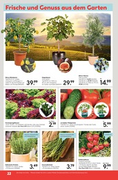 Gurkenpflanze Angebot im aktuellen Hellweg Prospekt auf Seite 22