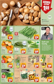 Ähnliche Erdbeerpflanzen Angebote im Prospekt "Dein Markt" von REWE in Augsburg Ähnliche Angebote wie Erdbeerpflanzen im Prospekt "Dein Markt" auf Seite 9 von REWE in Augsburg