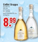 Grappa Oro im Angebot bei Trinkgut in Rheda-Wiedenbrück Grappa Oro Angebote von Cellini bei Trinkgut Rheda-Wiedenbrück für 8,99 €
