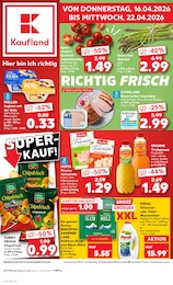 Kaufland Fritteuse im Prospekt 